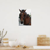 Amish Horse Poster (Keuken)