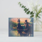 Amish Horse Team Briefkaart (Staand voorkant)