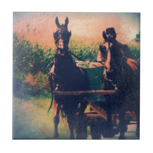 Amish Horse Team Tegeltje (Voorkant)