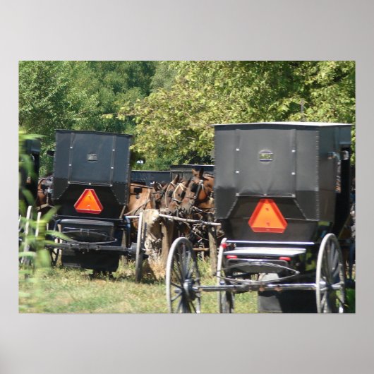 Amish Horses and Buggies Poster (Voorkant)