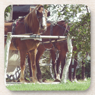 Amish Horses bij de Hitching Post Around Apples Onderzetter