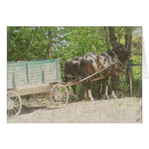 Amish Horses en Wagon