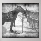 Amish Horses in Black and White Grunge Poster (Voorkant)