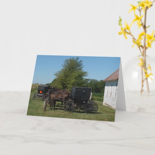 Amish Horses Kaart (Gele Bloem)