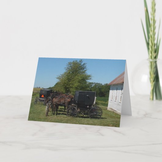 Amish Horses Kaart (Voorkant)
