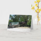 Amish Horses Kaart (Gele Bloem)