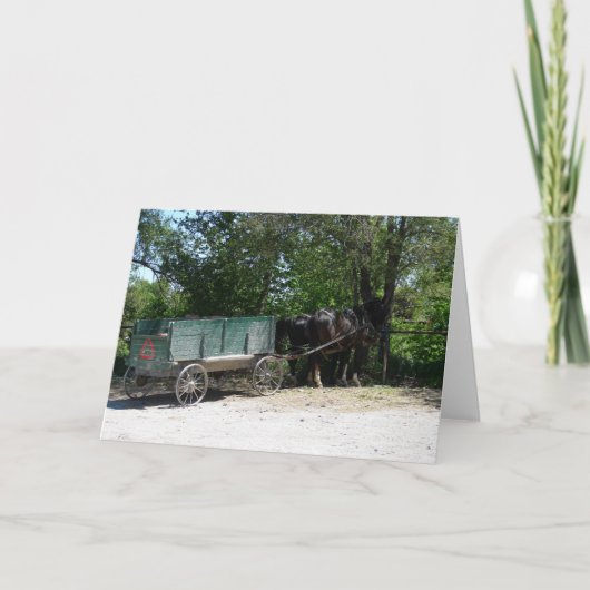 Amish Horses Kaart (Voorkant)
