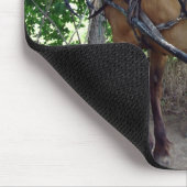 Amish Horses Muismat (Hoek)