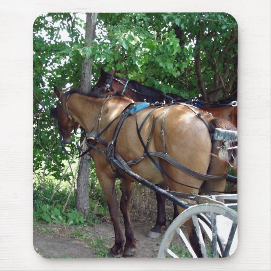 Amish Horses Muismat (Voorkant)