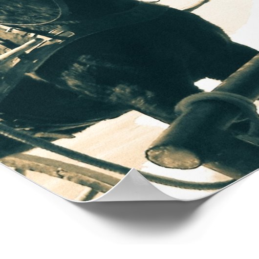 Amish Horses Poster (Hoek)