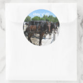 Amish Horses Say Hi! Ronde Sticker (Tas)