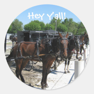 Amish Horses Say Hi! Ronde Sticker