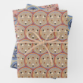 Amish Inpakpapier Vel (In situ)