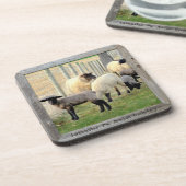 Amish Lambs en Sheep! 6 Bier Onderzetter (Linkerzijde)