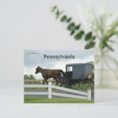 Amish Land in Lancaster Pennsylvania Briefkaart (Staand voorkant)