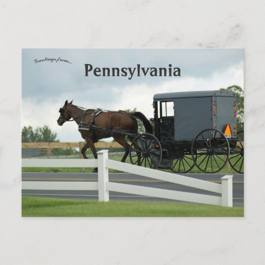 Amish Land in Lancaster Pennsylvania Briefkaart (Voorkant)