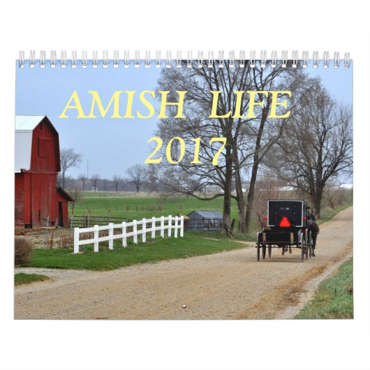 AMISH LIFE 2017 KALENDER (Hoes)