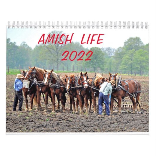 AMISH LIFE 2022 KALENDER (Hoes)