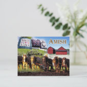 Amish Life in Lancaster, Pennsylvania Briefkaart (Staand voorkant)