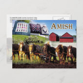 Amish Life in Lancaster, Pennsylvania Briefkaart (Voorkant / Achterkant)
