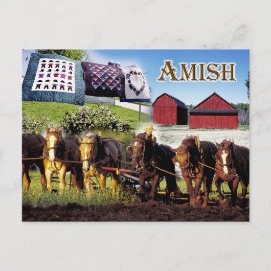 Amish Life in Lancaster, Pennsylvania Briefkaart (Voorkant)