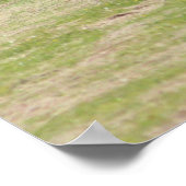 Amish Life Poster (Hoek)