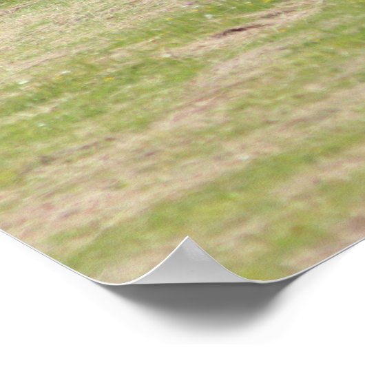 Amish Life Poster (Hoek)