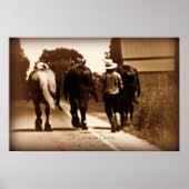 Amish Life Poster (Voorkant)