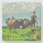 Amish Onderzetters, Amish Farmer en Paarden! Stenen Onderzetter (Voorkant)