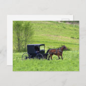 Amish paard en buggy bij Berlijn, Ohio. Briefkaart (Voorkant / Achterkant)