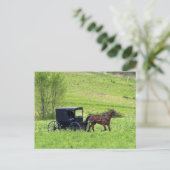 Amish paard en buggy bij Berlijn, Ohio. Briefkaart (Staand voorkant)