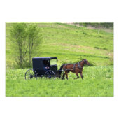 Amish paard en buggy bij Berlijn, Ohio. Foto Afdruk (Voorkant)