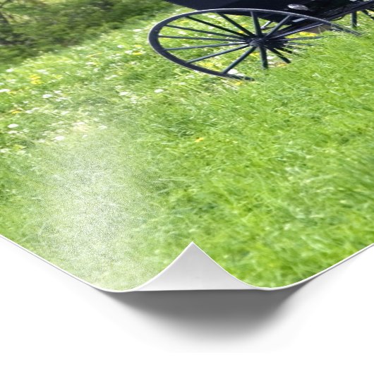 Amish paard en buggy bij Berlijn, Ohio. Foto Afdruk (Hoek)