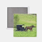 Amish paard en buggy bij Berlijn, Ohio. Magneet (Voorkant / Achterkant)