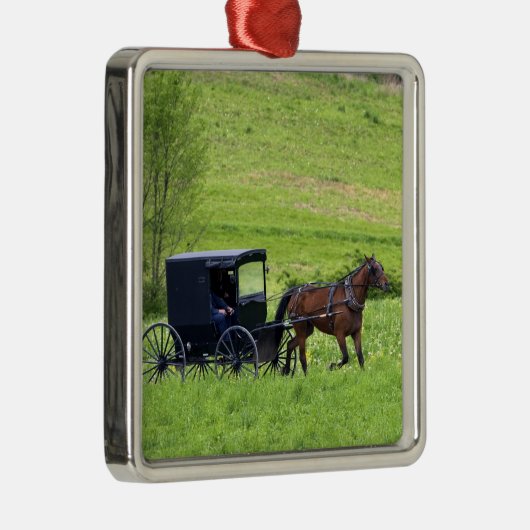 Amish paard en buggy bij Berlijn, Ohio. Metalen Ornament (Rechts)