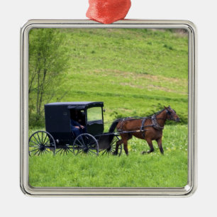 Amish paard en buggy bij Berlijn, Ohio. Metalen Ornament