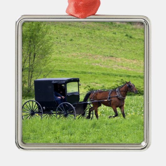 Amish paard en buggy bij Berlijn, Ohio. Metalen Ornament (Voorkant)