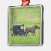 Amish paard en buggy bij Berlijn, Ohio. Metalen Ornament (Links)
