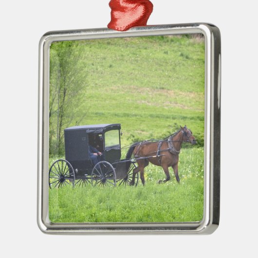 Amish paard en buggy bij Berlijn, Ohio. Metalen Ornament (Links)