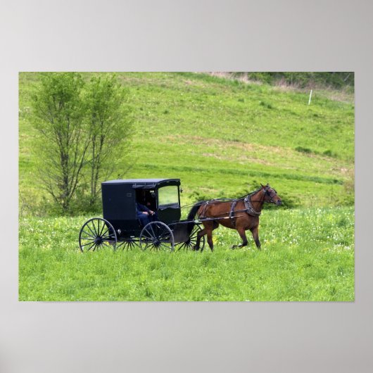 Amish paard en buggy bij Berlijn, Ohio. Poster (Voorkant)
