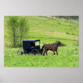Amish paard en buggy bij Berlijn, Ohio. Poster (Voorkant)