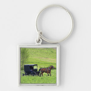 Amish paard en buggy bij Berlijn, Ohio. Sleutelhanger