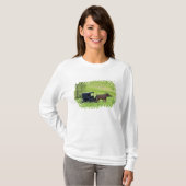 Amish paard en buggy bij Berlijn, Ohio. T-shirt (Voorkant volledig)