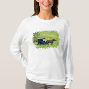 Amish paard en buggy bij Berlijn, Ohio. T-shirt