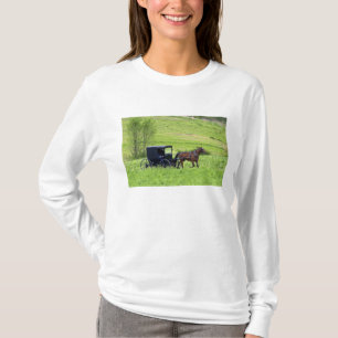 Amish paard en buggy bij Berlijn, Ohio. T-shirt