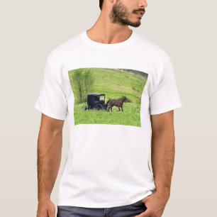 Amish paard en buggy bij Berlijn, Ohio. T-shirt