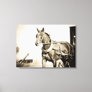 Amish paard en buggy in sepia canvas afdruk