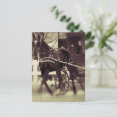 Amish paard en buggy landelijke Iowa fotografie Briefkaart (Staand voorkant)