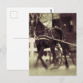 Amish paard en buggy landelijke Iowa fotografie Briefkaart (Voorkant / Achterkant)