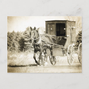 Amish paard en buggy Sepia Kalona Iowa Briefkaart